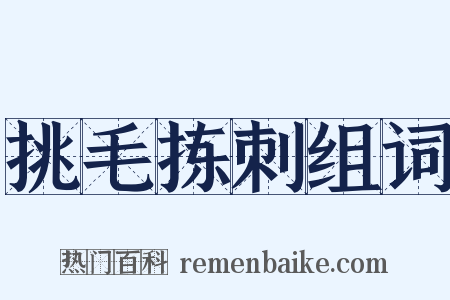 挑毛拣刺组词是什么意思的图片